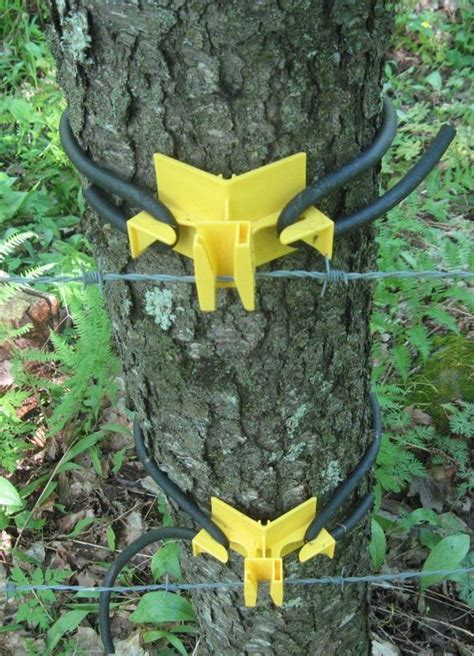 electrical box chained to a tree|attaching equipment to trees.